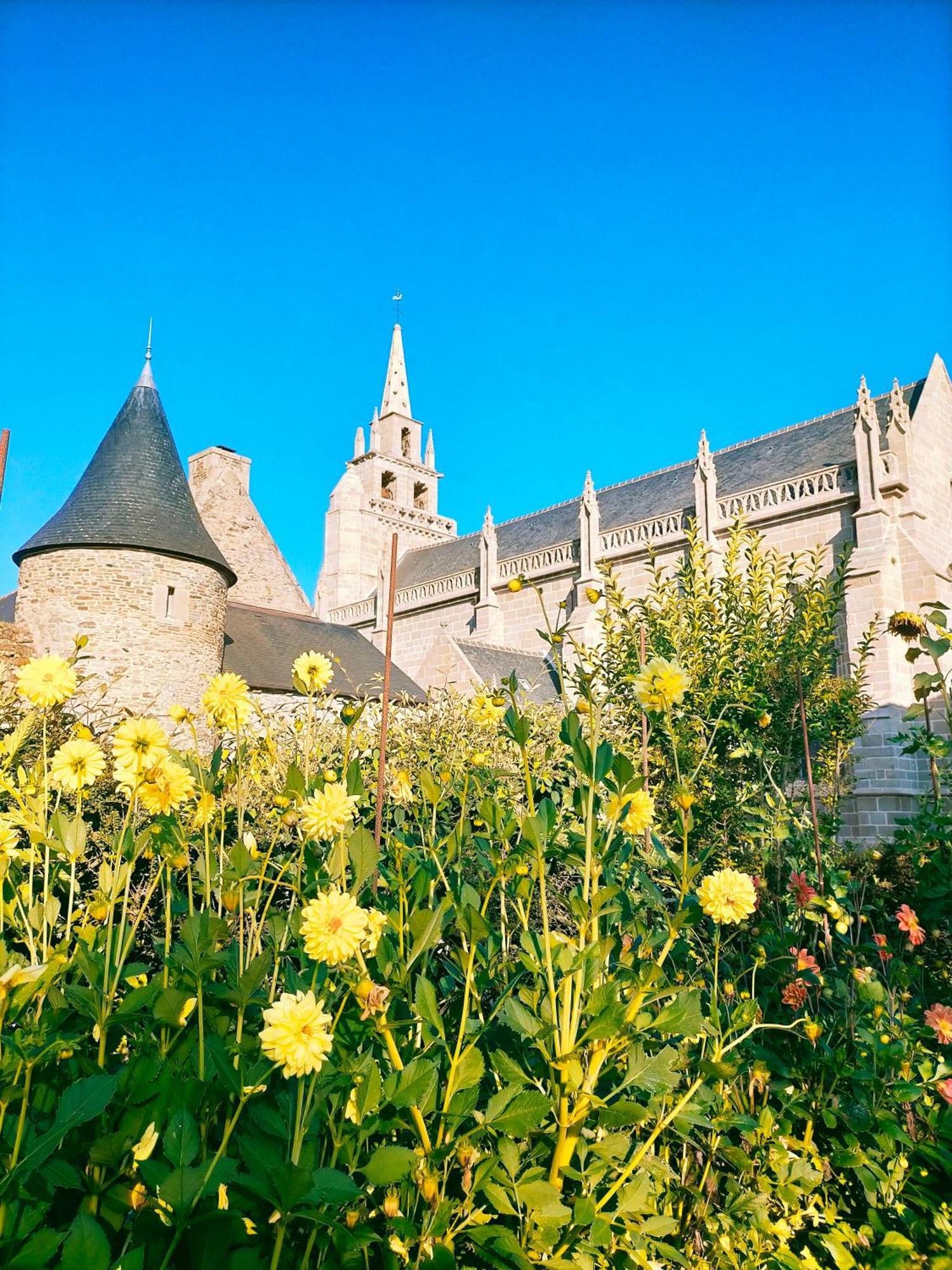Bnb La Neo Bretonne Minihy-Tréguier Exteriör bild